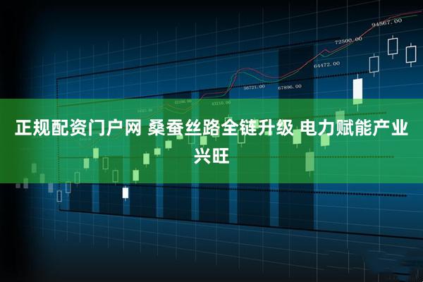 正规配资门户网 桑蚕丝路全链升级 电力赋能产业兴旺